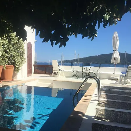 Castle81homes Women - Only For Women Vandrerhjem *