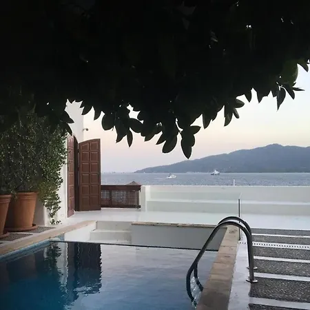 Castle81homes Women - Only For Women *